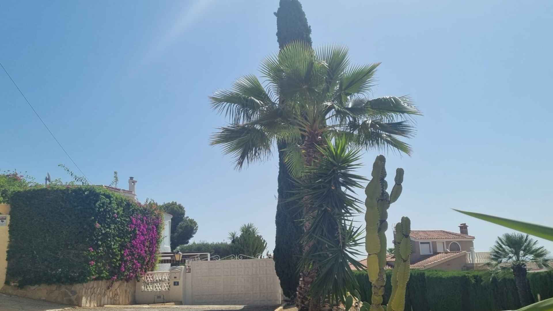 resale-villa-rojales-ciudad-quesada_492088_xl