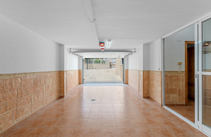 WEBSITE-44