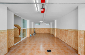 WEBSITE-45