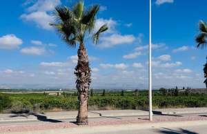 re-sale-apartment-algorfa_77063_xl