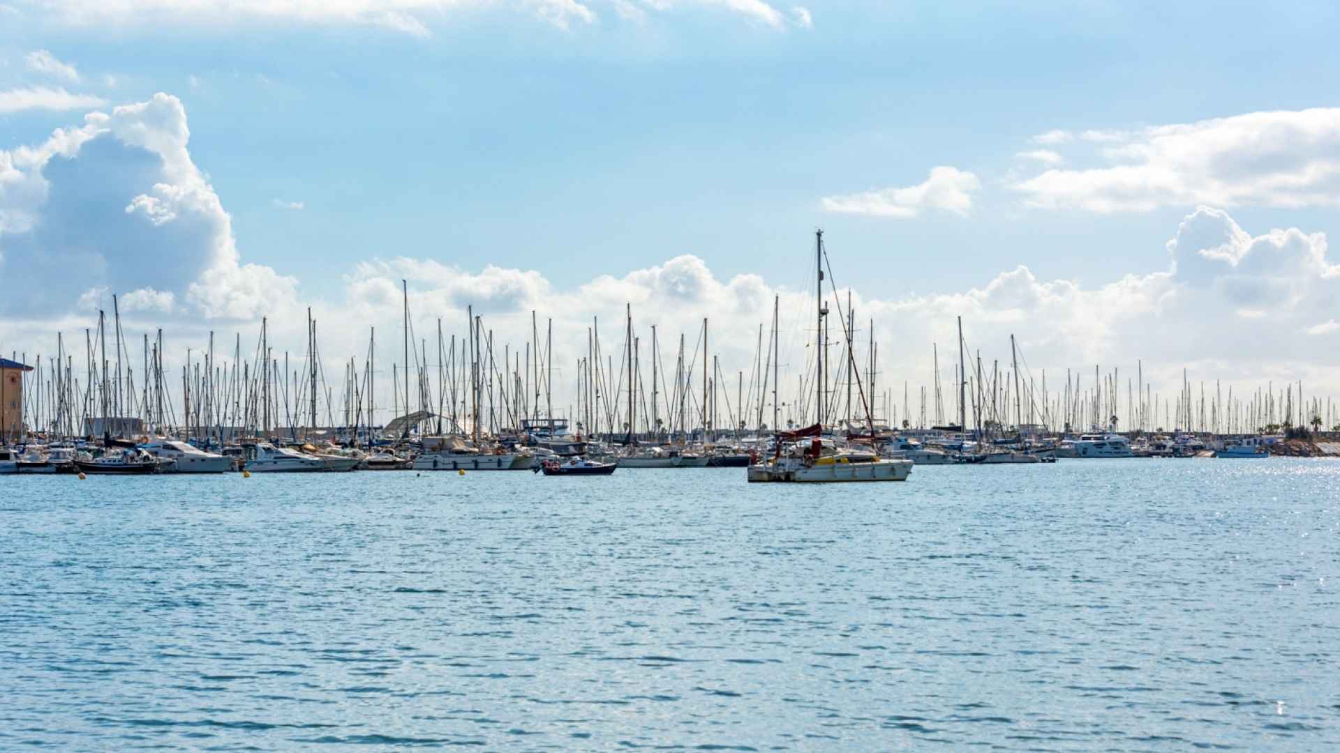 sale-apartment-torrevieja-playa-del-acequion_236245_xl