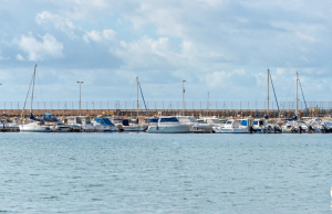 sale-apartment-torrevieja-playa-del-acequion_236247_xl