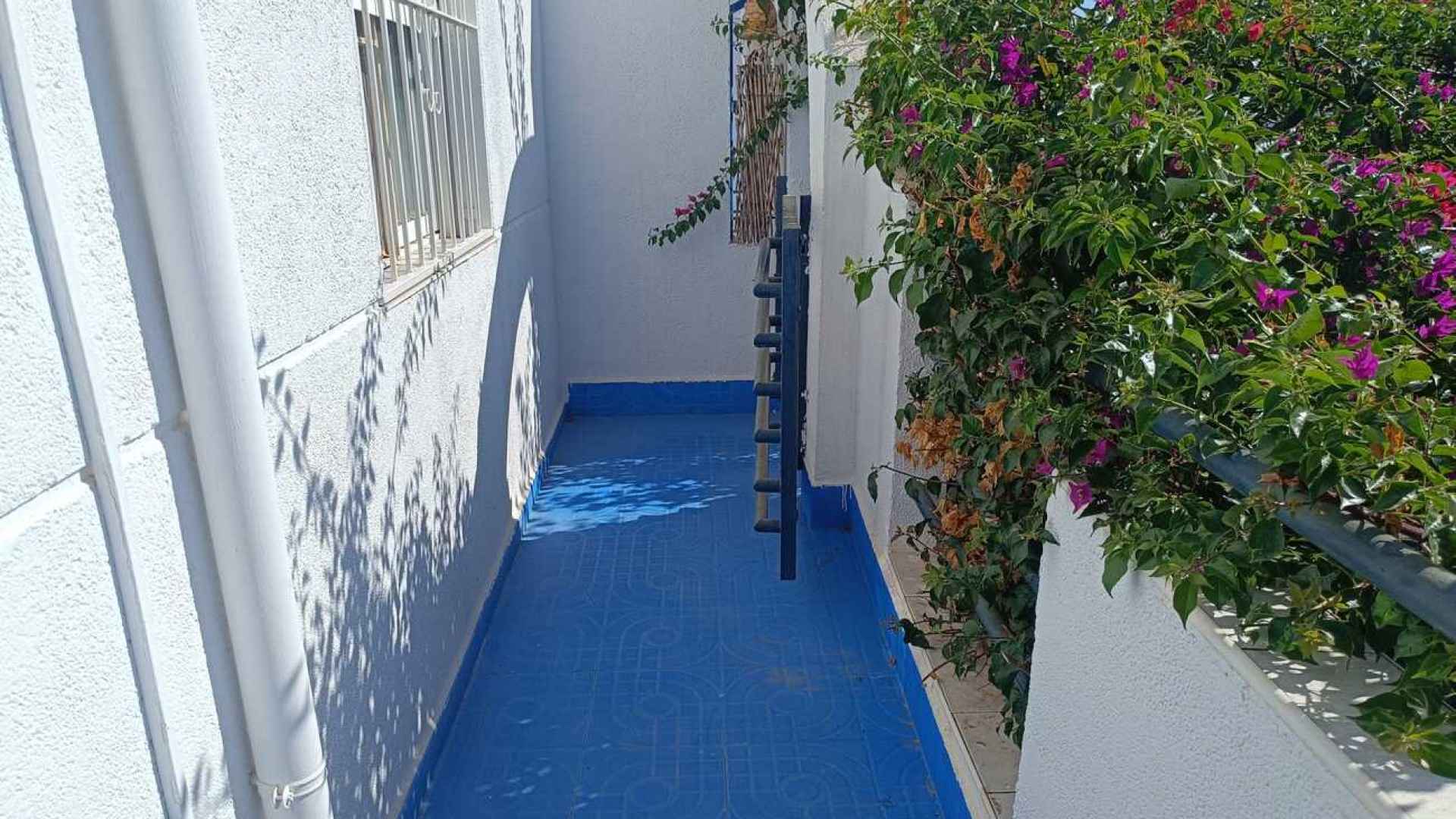 town-house-torrevieja-nwd6033-33