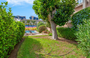 sale-semi-detached-orihuela-costa-punta-prima_237061_lg