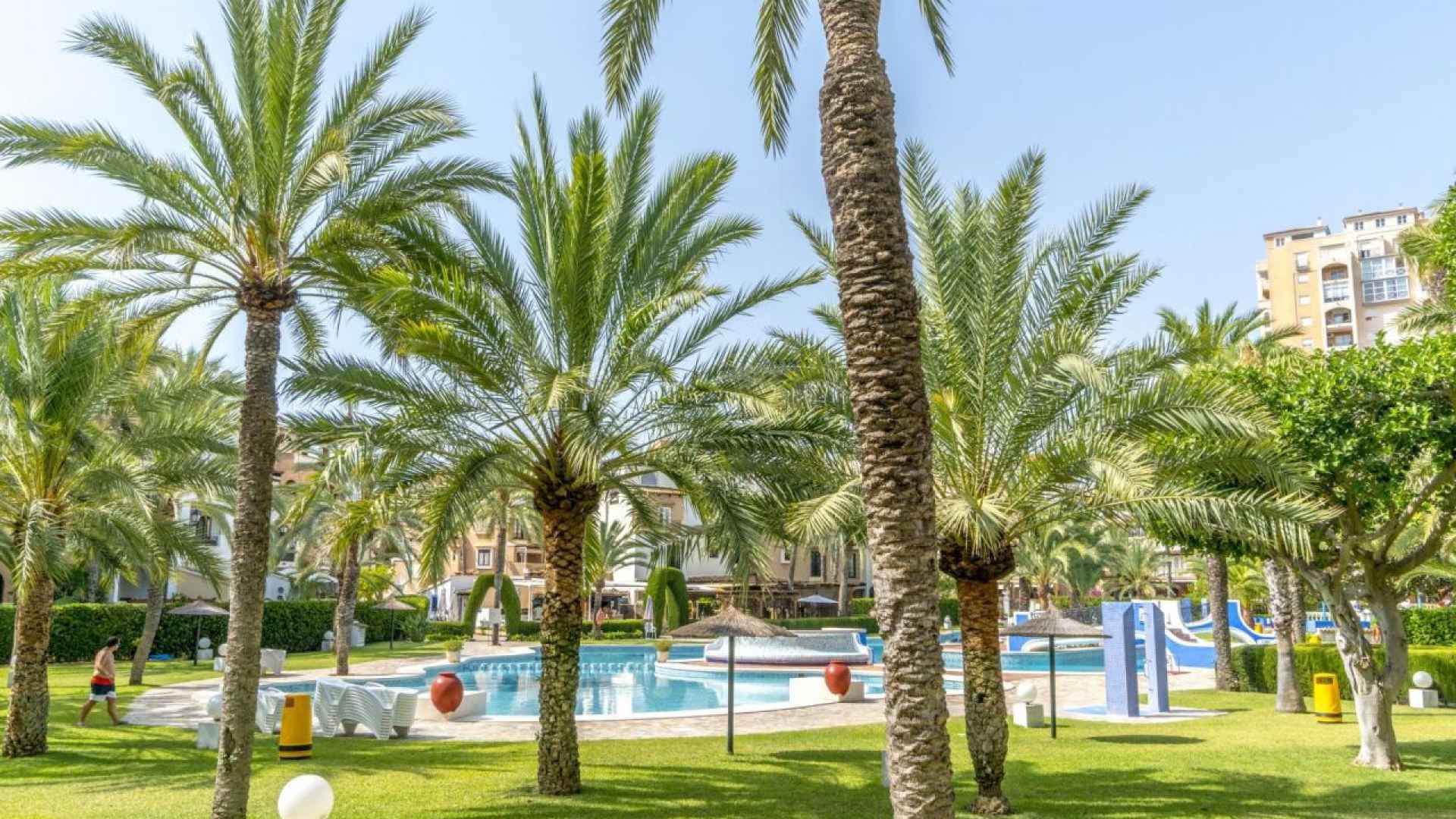 resale-penthouse-duplex-torrevieja-playa-de-los-locos_164749_xl