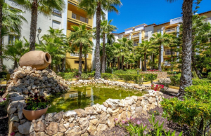 resale-penthouse-duplex-torrevieja-playa-de-los-locos_164752_xl