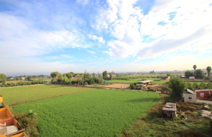 49183_spacious_2_bedroom_2_bathroom_apartment_with_secure_parking_201025154010_img_9209