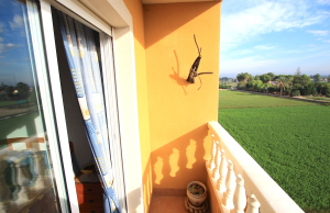 49183_spacious_2_bedroom_2_bathroom_apartment_with_secure_parking_201025154010_img_9210