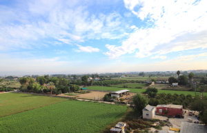 49183_spacious_2_bedroom_2_bathroom_apartment_with_secure_parking_201025154010_img_9221