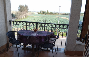 f2390fe9-0abb-4af0-9412-bd53f9c24358