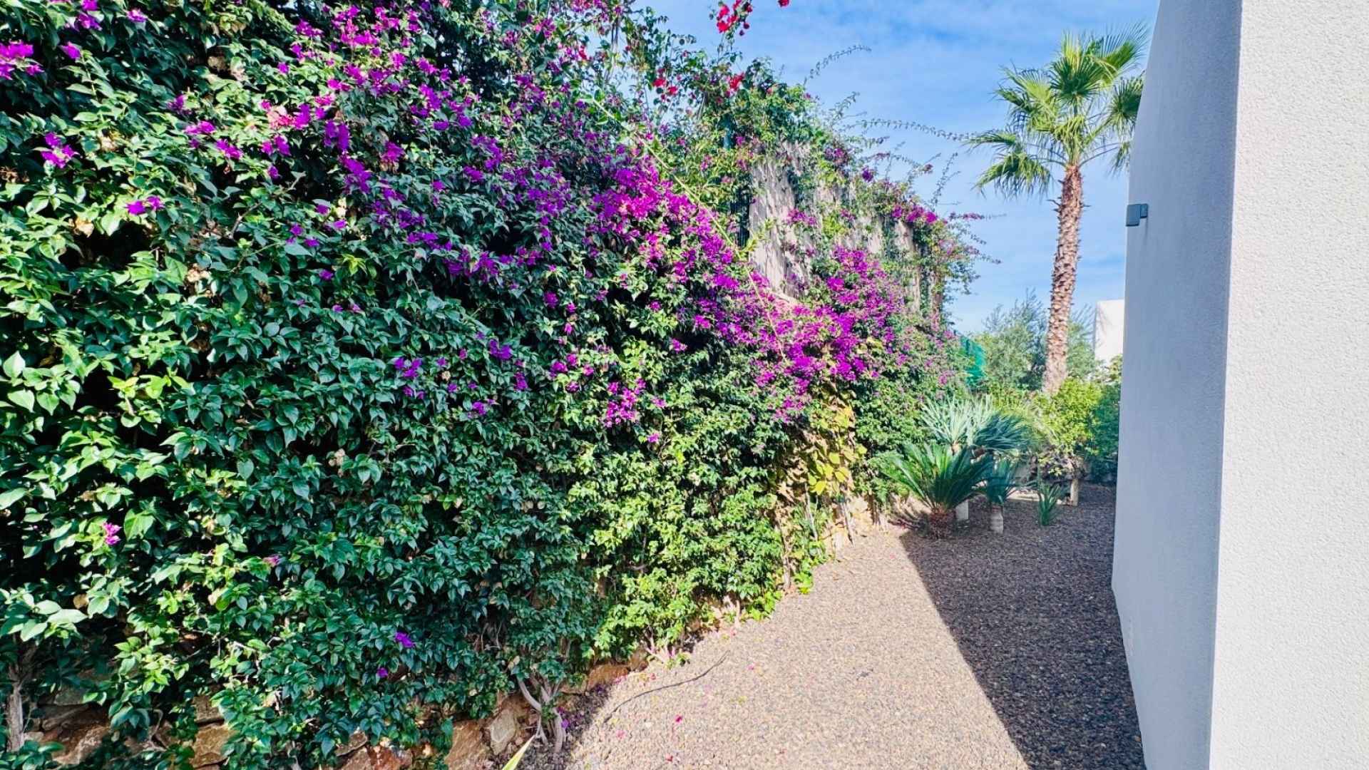 re-sale-detached-villa-algorfa_83340_xl