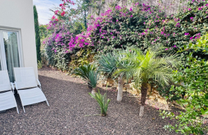 re-sale-detached-villa-algorfa_83338_xl