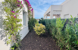 re-sale-detached-villa-algorfa_83339_xl