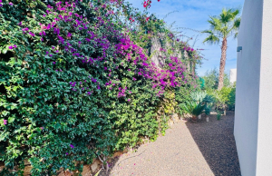 re-sale-detached-villa-algorfa_83340_xl