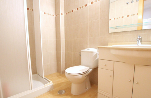 49283_roomy_two_bedroom_apartment_in_los_palacios_190126114202_img_1723