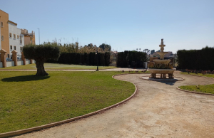 IMG_20260225_142337