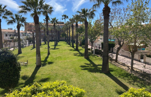 200-4874, One Bedroom, First Floor Apartment In Cabo Roig, Orihuela Costa.
