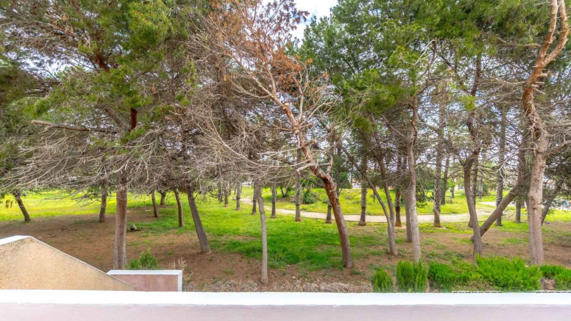 resale-townhouse-torrevieja-los-altos_155511_xl