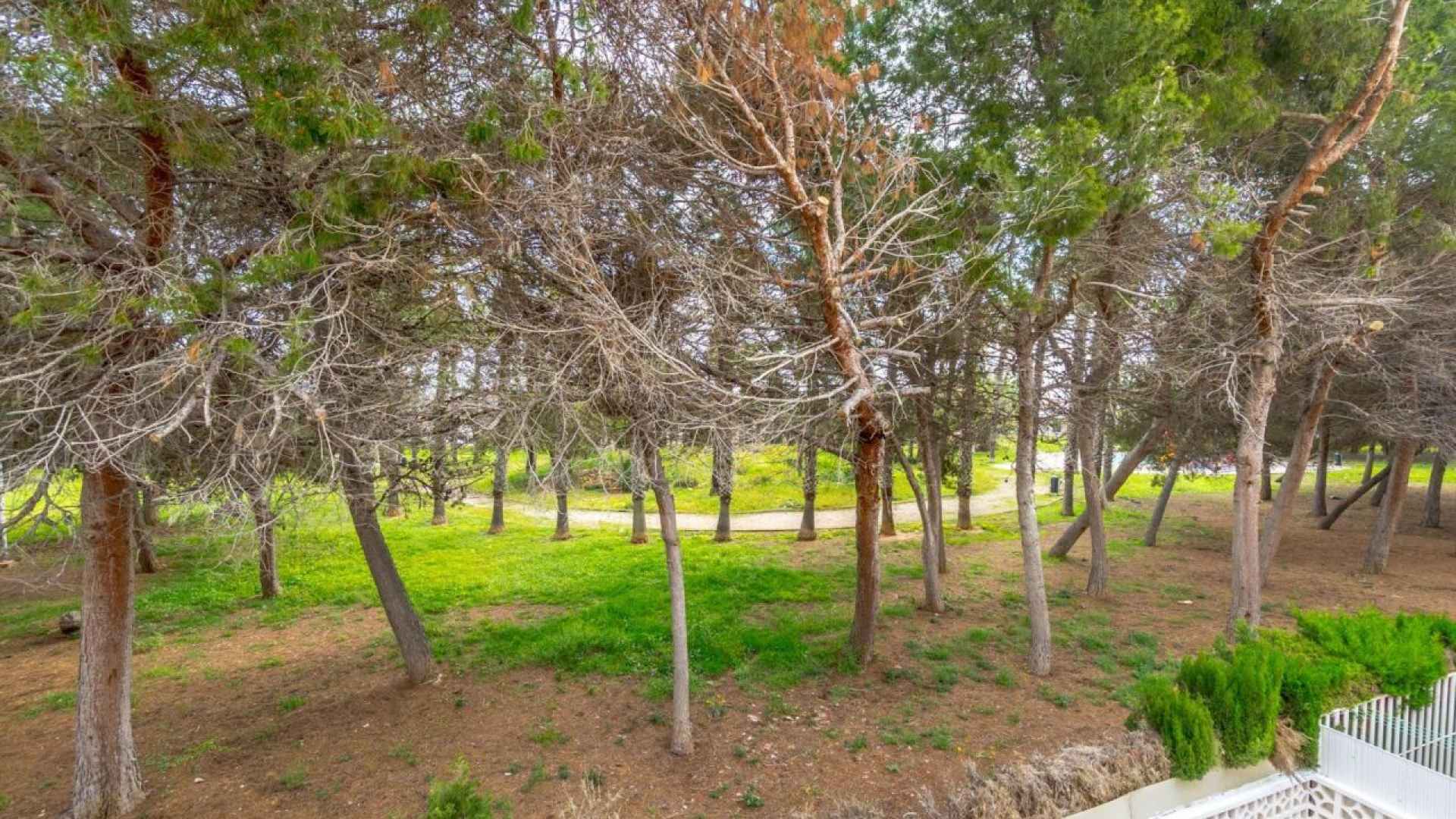 resale-townhouse-torrevieja-los-altos_155512_xl