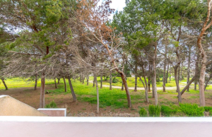 resale-townhouse-torrevieja-los-altos_155511_xl