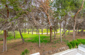 resale-townhouse-torrevieja-los-altos_155512_xl