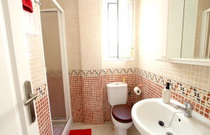 48899_stylish_3_bedroom_end_townhouse_in_a_sought_after_location_100425143816_img_1556
