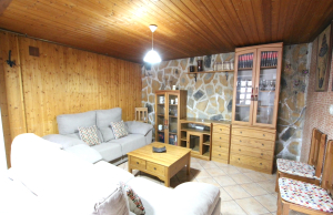 48901_spacious_and_exceptionally_well_presented_village_townhouse_110425112407_img_1199